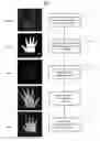 Fig. 01 - Methods and systems for 3D contour recognition and 3D mesh generation