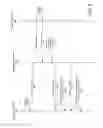 Fig. 16 - Record display of an interleaved wagering system