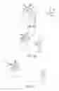 Fig. 06 - SYSTEMS AND DEVICES TO CONTROL ANTENNA AZIMUTH ORIENTATION IN AN OMNI-DIRECTIONAL UNMANNED AERIAL VEHICLE
