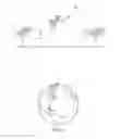 Fig. 08 - SYSTEMS AND DEVICES TO CONTROL ANTENNA AZIMUTH ORIENTATION IN AN OMNI-DIRECTIONAL UNMANNED AERIAL VEHICLE