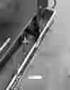 Fig. 15 - Trailer sway demonstrator