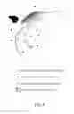 Fig. 10 - Starry sky reproducing sheet and device