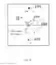 Fig. 44 - Starry sky reproducing sheet and device