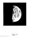 Fig. 48 - Starry sky reproducing sheet and device