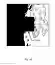 Fig. 49 - Starry sky reproducing sheet and device