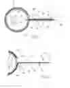 Fig. 03 - LABEL SHEET FOR EXTENDED TAB LABEL