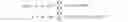 Fig. 03 - Pixel circuit and driving method thereof, display panel