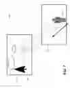 Fig. 08 - Systems and methods for featuring a person in a video using performance data associated with the person