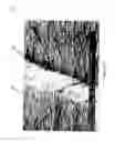 Fig. 09 - Nonvolatile nanotube switches and systems using same