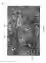Fig. 135 - Nonvolatile nanotube switches and systems using same