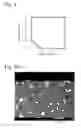 Fig. 02 - SINTERED R-TM-B MAGNET
