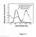 Fig. 04 - SOLAR CELL EMPLOYING PHOSPHORESCENT MATERIALS