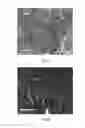 Fig. 04 - METHOD OF DEPOSITING OXIDIZED CARBON-BASED MICROPARTICLES AND NANOPARTICLES