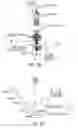 Fig. 05 - Sparse sampling methods and probe systems for analytical instruments
