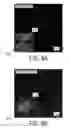 Fig. 09 - Sparse sampling methods and probe systems for analytical instruments
