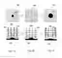 Fig. 05 - Mirror ion microscope and ion beam control method