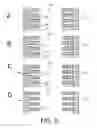 Fig. 10 - Reverse decoration for defect detection amplification