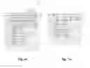 Fig. 09 - Integrated circuit (IC) structure for high performance and functional density