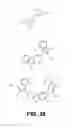 Fig. 24 - Carbazole-based gumbos for highly efficient blue OLEDs