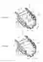 Fig. 06 - Electronic device