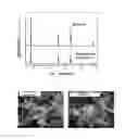 Fig. 02 - LITHIUM METAL OXIDE, NEGATIVE ELECTRODE ACTIVE MATERIAL FOR LITHIUM SECONDARY BATTERY COMPRISING THE SAME, AND METHOD OF PREPARING THE SAME