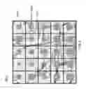Fig. 06 - PROGRAM AND STATISTICAL PROCESSING SYSTEM