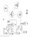 Fig. 02 - Method and apparatus for supporting communication via a relay device