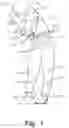 Fig. 02 - Article of apparel providing enhanced body position feedback