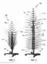 Fig. 02 - Self-deploying tree system