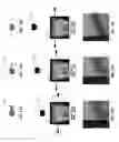 Fig. 13 - Intraoral scanner with dental diagnostics capabilities