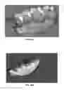Fig. 27 - Intraoral scanner with dental diagnostics capabilities