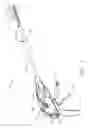 Fig. 02 - Articulating surgical instrument incorporating a two-piece firing mechanism