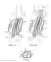 Fig. 08 - Stent graft delivery system