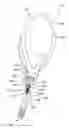 Fig. 01 - Systems and methods for implanting surgical implants