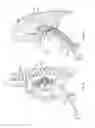 Fig. 07 - Diaphragm entry for posterior surgical access