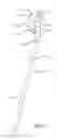Fig. 02 - Humeral nail having a bracket
