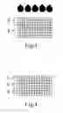Fig. 03 - DENTAL TEMPORARY CALCINED BODY HAVING COLORED INSIDE