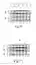 Fig. 06 - DENTAL TEMPORARY CALCINED BODY HAVING COLORED INSIDE