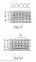 Fig. 07 - DENTAL TEMPORARY CALCINED BODY HAVING COLORED INSIDE
