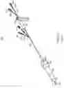 Fig. 33 - DEVICES AND METHODS FOR PLACING A GASTROINTESTINAL DEVICE