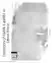 Fig. 46 - CNS delivery of MRNA and uses thereof