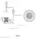 Fig. 02 - Development of curcumin and piperine loaded double-layered biopolymer based nano delivery systems by using electrospray / coating method