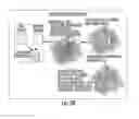 Fig. 45 - Peptide/particle delivery systems