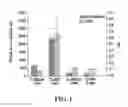 Fig. 02 - COATED CHITOSAN-BASED POLYPLEX FOR DELIVERY OF NUCLEIC ACIDS