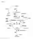 Fig. 02 - METHODS FOR THE BIOSYNTHESIS OF TAURINE OR HYPOTAURINE IN CELLS