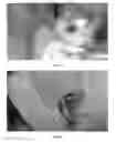 Fig. 07 - PHARMACEUTICAL COMPOSITION FOR TREATMENT OF INFLAMMATORY EAR DISEASES, METHOD FOR PRODUCING SAME AND METHOD FOR TREATMENT USING SAID COMPOSITION