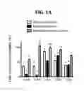 Fig. 02 - Use of Flecainide as an Anti-Connexin Agent and Method for Potentiating the Effects of a Psychotropic Drug