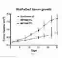 Fig. 08 - PHOSPHOLIPID COMPOSITIONS
