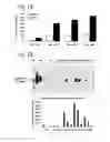 Fig. 02 - Oligomers Having Bicyclic Scaffold Moeities