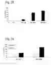 Fig. 03 - Oligomers Having Bicyclic Scaffold Moeities
